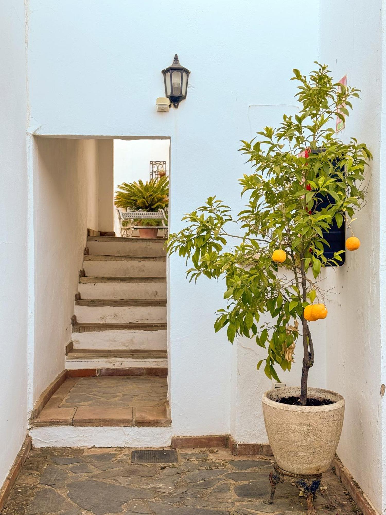 Hotel Cortijo Las Piletas Ronda Exteriér fotografie